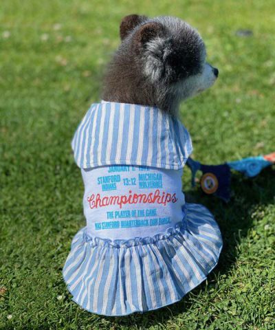 N撥水スノーFUNPT | AS KNOW AS オンラインショップ