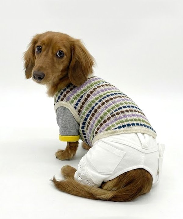 カラフルドットベスト | AS KNOW AS オンラインショップ