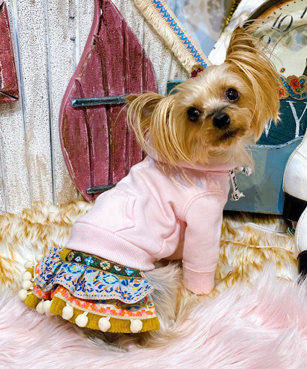 N推しカラー☆PK | AS KNOW AS オンラインショップ